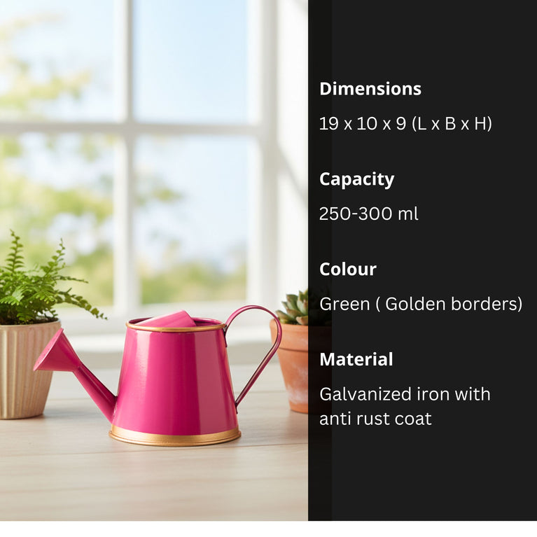 Plants Watering Can | 19 x 10 x 9 cms | 300 ml | Metal, Rust Free | Mini Watering can | Watering can for Kids | Gardening Equipment