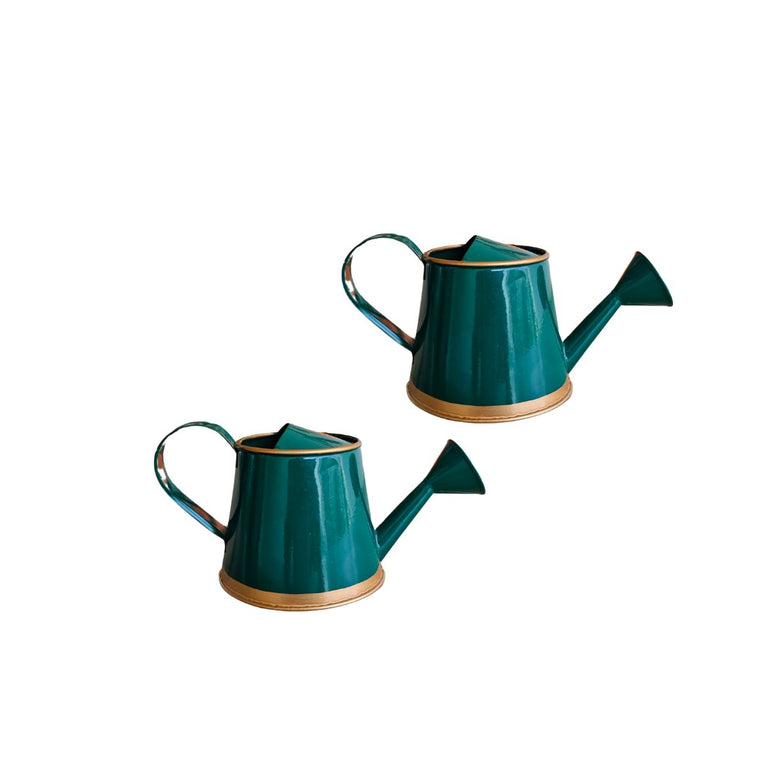 Plants Watering Can | 19 x 10 x 9 cms | 300 ml | Metal, Rust Free | Mini Watering can | Watering can for Kids | Gardening Equipment
