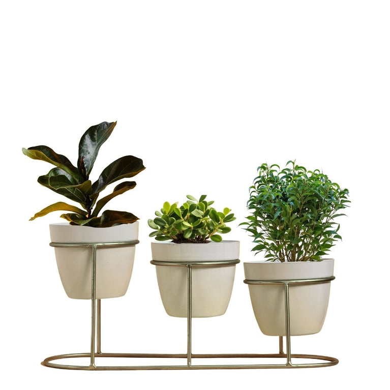 Tabletop 3 Tier White Tuscan Style Metal Planter Flower Pot with Golden Step Stand| Planter Indoor Office Garden Balcony Living Room Outdoor Plants Set of 3 POTS (White) | Gardening | Planters