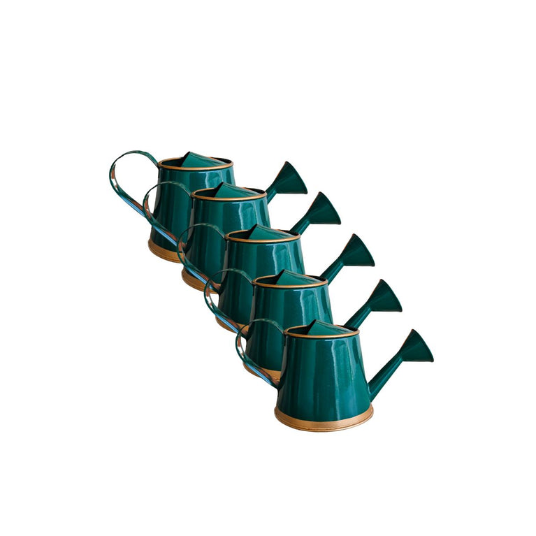 Plants Watering Can | 19 x 10 x 9 cms | 300 ml | Metal, Rust Free | Mini Watering can | Watering can for Kids | Gardening Equipment