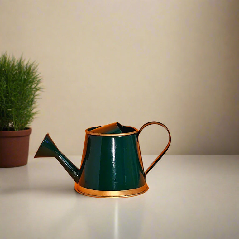 Plants Watering Can | 19 x 10 x 9 cms | 300 ml | Metal, Rust Free | Mini Watering can | Watering can for Kids | Gardening Equipment