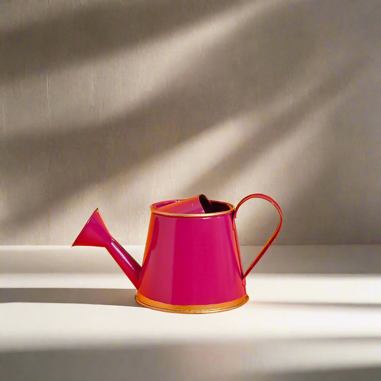 Plants Watering Can | 19 x 10 x 9 cms | 300 ml | Metal, Rust Free | Mini Watering can | Watering can for Kids | Gardening Equipment