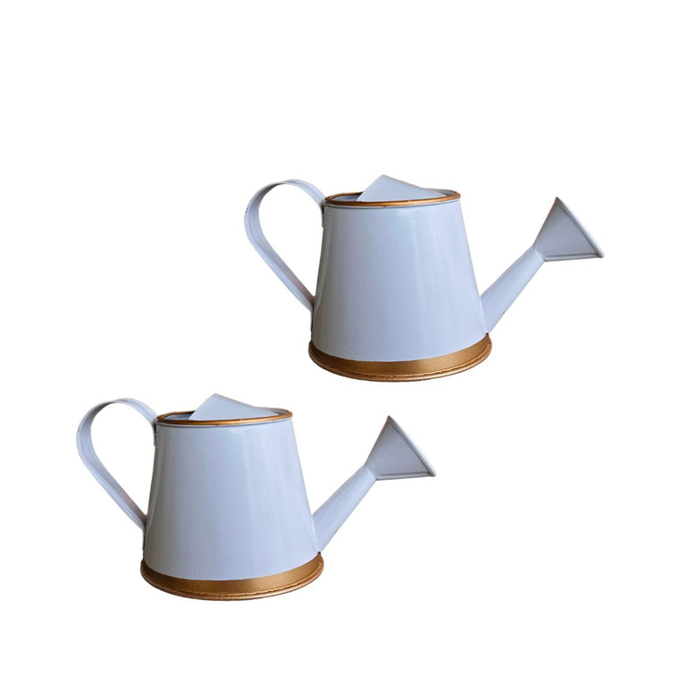 Plants Watering Can | 19 x 10 x 9 cms | 300 ml | Metal, Rust Free | Mini Watering can | Watering can for Kids | Gardening Equipment