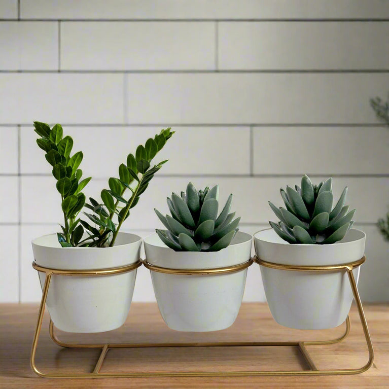 Tabletop 3 Tier White Tuscan Style Metal Planter Flower Pot with Golden Plane Stand | Planter Indoor Office Garden Balcony Living Room Outdoor Plants Set of 3 POTS (White)| Gardening | Planters