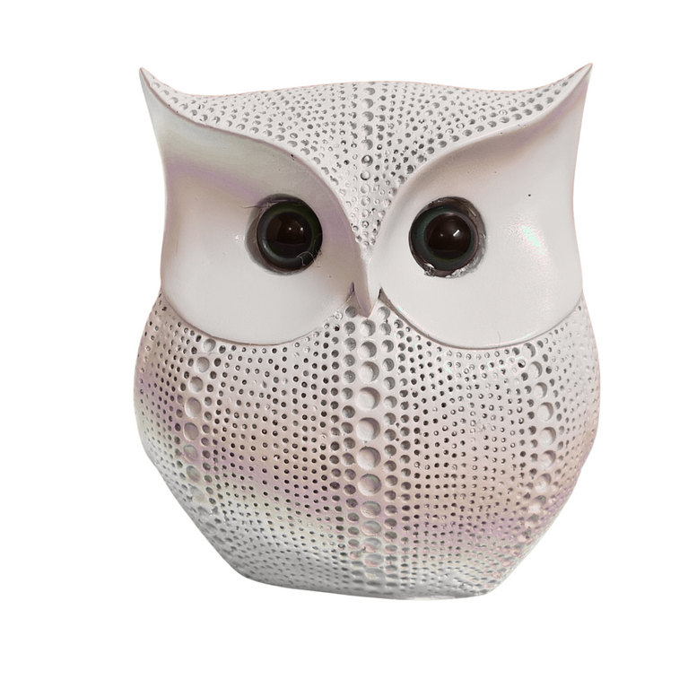 Lucky Owl Statue | Gifting | Table Decor | Home Decor