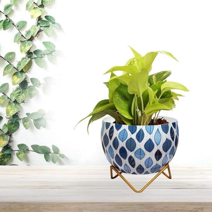 Metal Flower Vase Planter Pot with Stand & Drainage Hole, Pots for Plants, Plant Pots for Home Decoration, Succulent Pot, Indoor Planter Balcony Garden Decor| Gardening| Planter