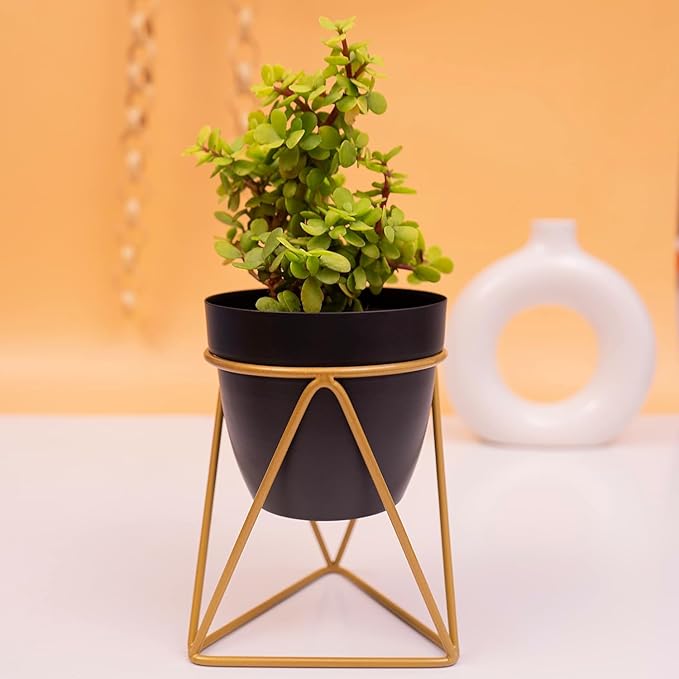 Planter Pot Stand for Outdoor | Planter Stand for Garden | Plant Stand for Home | Gamla Stand for Home | Metal Indoor Pots with Drainage Hole | Set of 1| Gardening | Planter