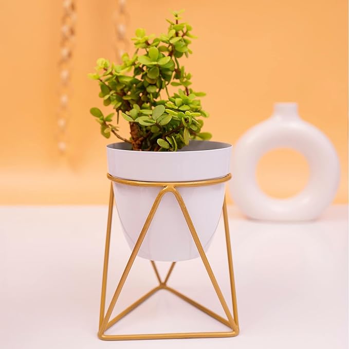 Planter Pot Stand for Outdoor | Planter Stand for Garden | Plant Stand for Home | Gamla Stand for Home | Metal Indoor Pots with Drainage Hole | Set of 1| Gardening | Planter