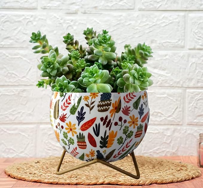 Metal Flower Vase Planter Pot with Stand & Drainage Hole, Pots for Plants, Plant Pots for Home Decoration, Succulent Pot, Indoor Planter Balcony Garden Decor| Gardening| Planter
