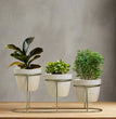 Tabletop 3 Tier White Tuscan Style Metal Planter Flower Pot with Golden Step Stand| Planter Indoor Office Garden Balcony Living Room Outdoor Plants Set of 3 POTS (White) | Gardening | Planters