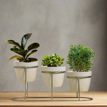 Tabletop 3 Tier White Tuscan Style Metal Planter Flower Pot with Golden Step Stand| Planter Indoor Office Garden Balcony Living Room Outdoor Plants Set of 3 POTS (White) | Gardening | Planters