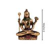 Blessing Adiyogi Shiva | Brass look Shiva| Car Dashboard| Table Decor| God Idol