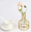 Glass Propagation Station with Metal Frame, Test Tube Vase for Flower Gold vase Iron Vase  | Gardening | Planter