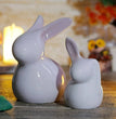 Cute Rabbit Showpiece Miniatures for Home Decor | Table Decor | Resin | Home Decor | Artifact