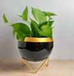Home Décor Vase with Stand | Flower Pot | Indoor Plant Vase | Tabletop Desktop | Bedroom Table | Decoration Centerpiece | Living Room Décor Showpiece | 6'' Round Metal Black-Gold (Pack of 1) | Gardening | Planter