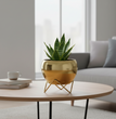 Modern Golden Glossy Metal Planter With Gold Finish Stand| Apple Tabletop Meena Pot with Zig  Zag stand | Gardening | Planter