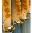 HANGING LOTUS