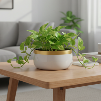 Handi Metal Pots for Indoor Plants with Drainage Hole | Gardening | Planter