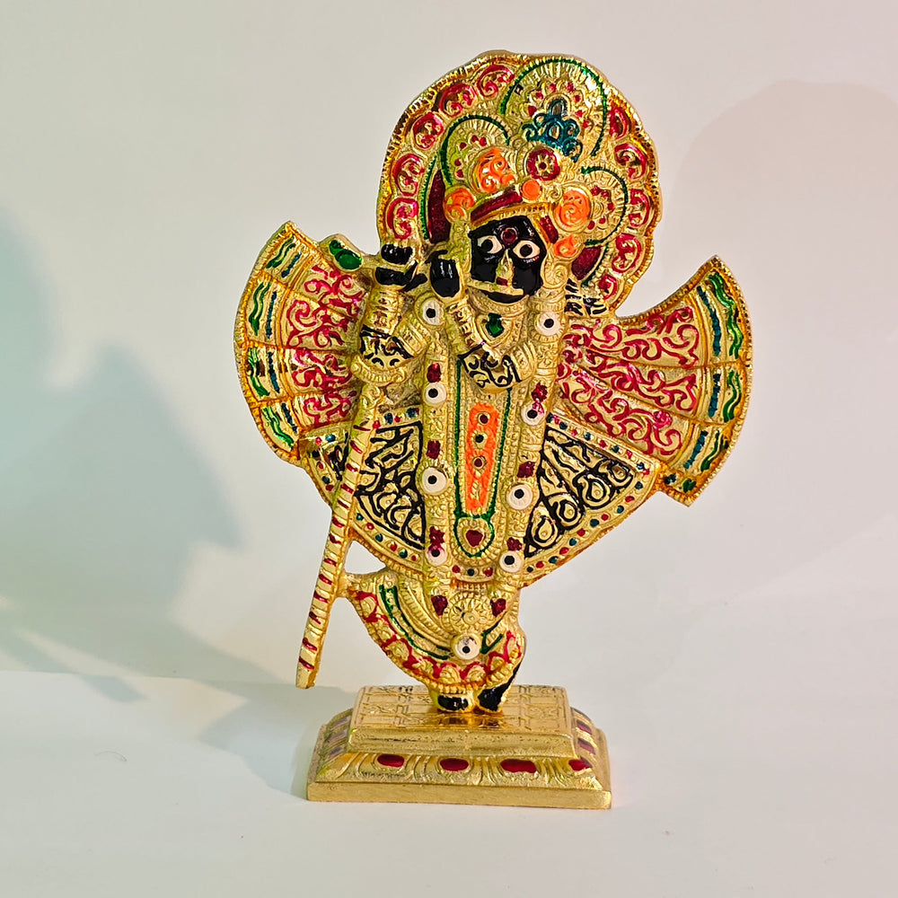 Banke Bihari | God Idol | Shree Krishna