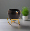 Apple Miniature Metal Planter | Matt Finish | 3.5″ Elegant Triangular Stand | Planter | Gifting