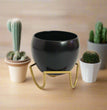 Apple Miniature Metal Planter | Matt Finish | 3.5″ Elegant Triangular Stand | Planter | Gifting