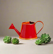 Watering Can for plants | Kids Watering Can | Gardening