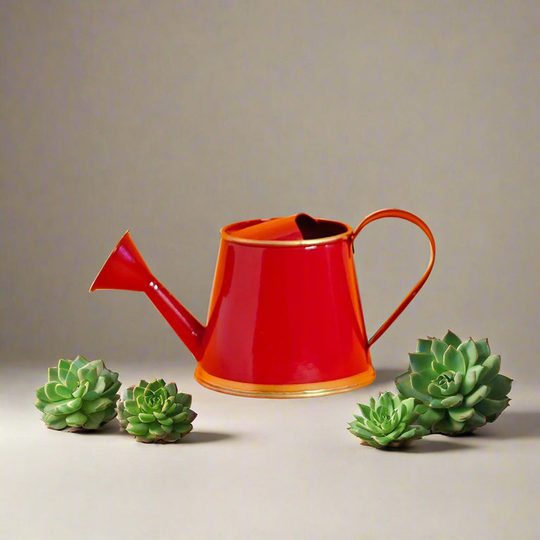 Watering Can for plants | Kids Watering Can | Gardening