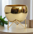 Modern Golden Glossy Metal Planter With Gold Finish Stand| Apple Tabletop Meena Pot with Zig  Zag stand | Gardening | Planter