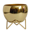 Modern Golden Glossy Metal Planter With Gold Finish Stand| Apple Tabletop Meena Pot with Zig  Zag stand | Gardening | Planter