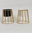 Planter with Gold Metal Stand (Black | White) | Small Metal Stands for Table Top Decor | Plant Stands | Gardening | Planter