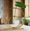 Double Rings Glass Test Tube Flower Vase with Gold Round Metal Stand Flower Vase for Chic Home Decor| Gardening | Planter