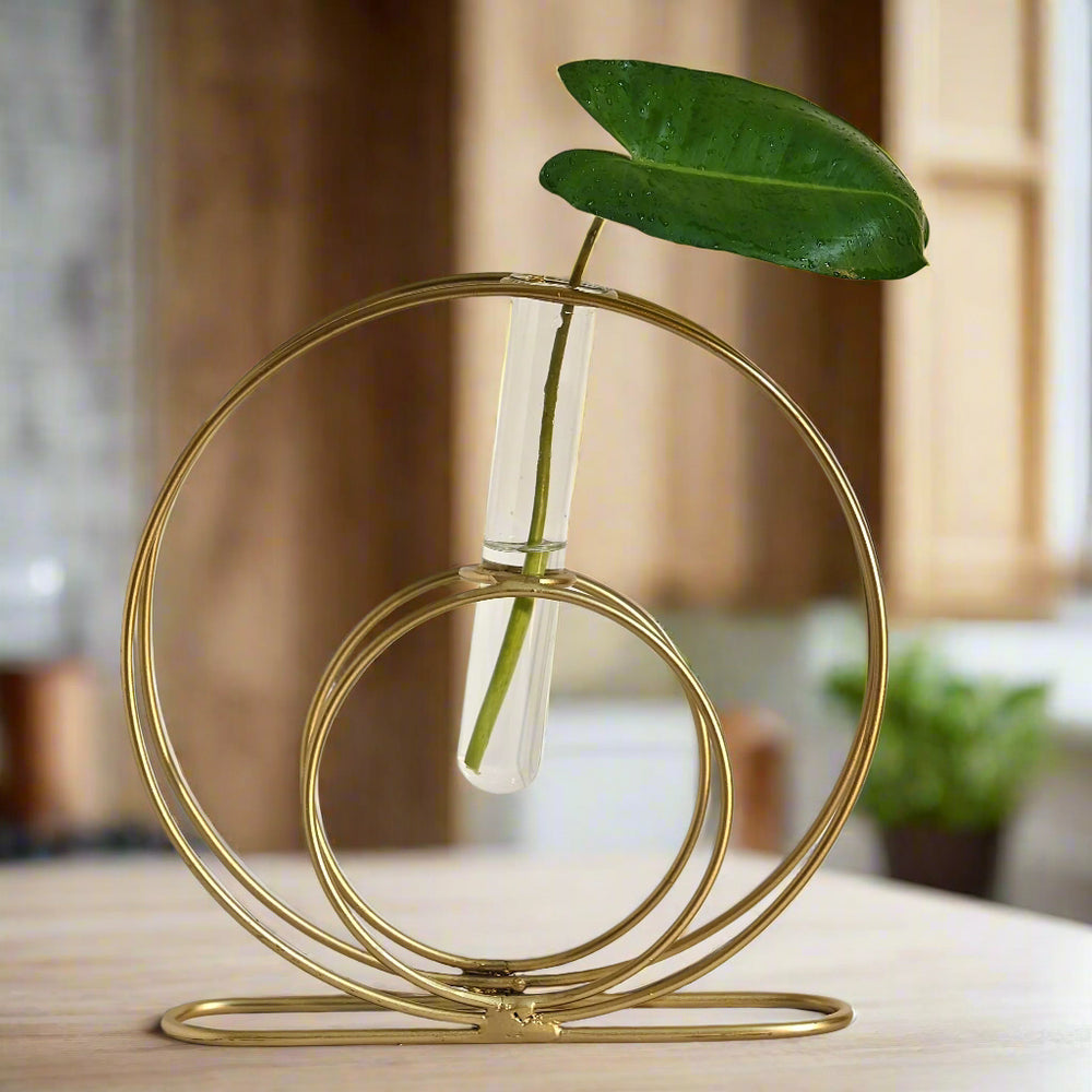 Double Rings Glass Test Tube Flower Vase with Gold Round Metal Stand Flower Vase for Chic Home Decor| Gardening | Planter