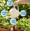 Plants Watering Can | 19 x 10 x 9 cms | 300 ml | Metal, Rust Free | Mini Watering can | Watering can for Kids | Gardening Equipment