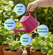 Plants Watering Can | 19 x 10 x 9 cms | 300 ml | Metal, Rust Free | Mini Watering can | Watering can for Kids | Gardening Equipment
