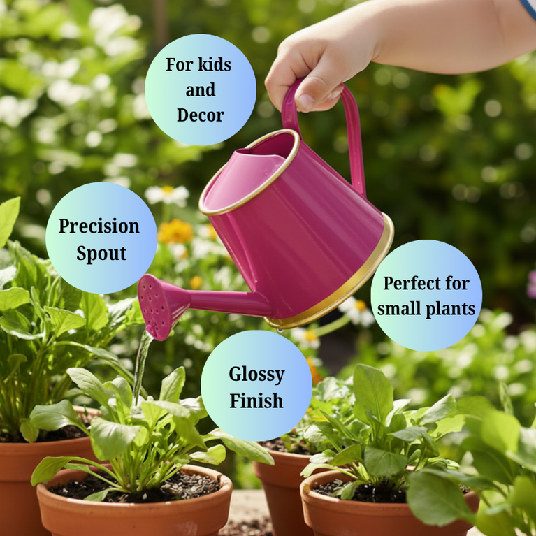 Plants Watering Can | 19 x 10 x 9 cms | 300 ml | Metal, Rust Free | Mini Watering can | Watering can for Kids | Gardening Equipment