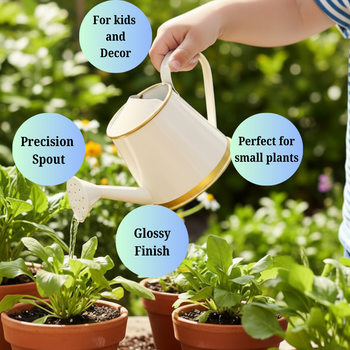 Plants Watering Can | 19 x 10 x 9 cms | 300 ml | Metal, Rust Free | Mini Watering can | Watering can for Kids | Gardening Equipment