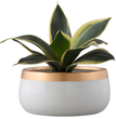 Handi Metal Pots for Indoor Plants with Drainage Hole | Gardening | Planter