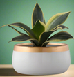 Handi Metal Pots for Indoor Plants with Drainage Hole | Gardening | Planter