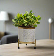 Indoor Planters for Living Room | Metal planter pot | Black and White | Indoor planters | Gardening