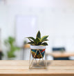 Metal Flower Planter Pot Vase with Stand for Home Décor Living Room Balcony Tabletop Indoor or Outdoor | Gardening | Planter