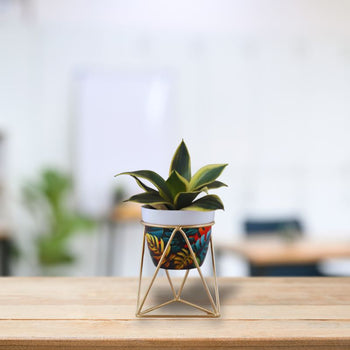 Metal Flower Planter Pot Vase with Stand for Home Décor Living Room Balcony Tabletop Indoor or Outdoor | Gardening | Planter