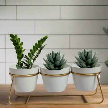 Tabletop 3 Tier White Tuscan Style Metal Planter Flower Pot with Golden Plane Stand | Planter Indoor Office Garden Balcony Living Room Outdoor Plants Set of 3 POTS (White)|  Gardening | Planters