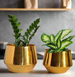Home Decor Premium Golden Glossy Metal Planter Set | Planter set of 2 | Gardening | Planters