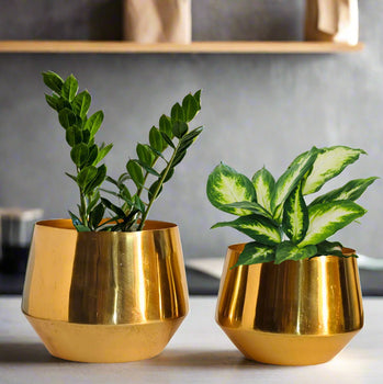 Home Decor Premium Golden Glossy Metal Planter Set | Planter set of 2 | Gardening | Planters