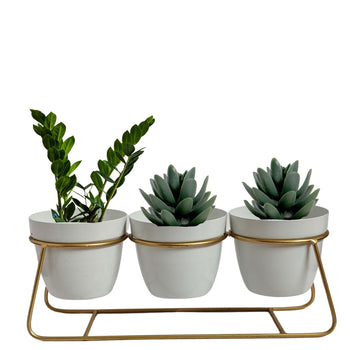 Tabletop 3 Tier White Tuscan Style Metal Planter Flower Pot with Golden Plane Stand | Planter Indoor Office Garden Balcony Living Room Outdoor Plants Set of 3 POTS (White)|  Gardening | Planters