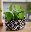 Table Top Planter With Meena Pot | Designed Handi pot | Gardening | Planter pot