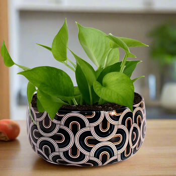 Table Top Planter With Meena Pot | Designed Handi pot | Gardening | Planter pot
