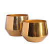 Home Decor Premium Golden Glossy Metal Planter Set | Planter set of 2 | Gardening | Planters