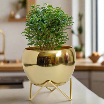 Modern Golden Glossy Metal Planter With Gold Finish Stand| Apple Tabletop Meena Pot with Zig  Zag stand | Gardening | Planter