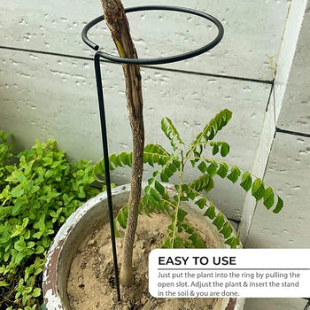 Elegant Sturdy Metal Trellis for Plant Support  Garden Stand (Pack of 6)| Gardening